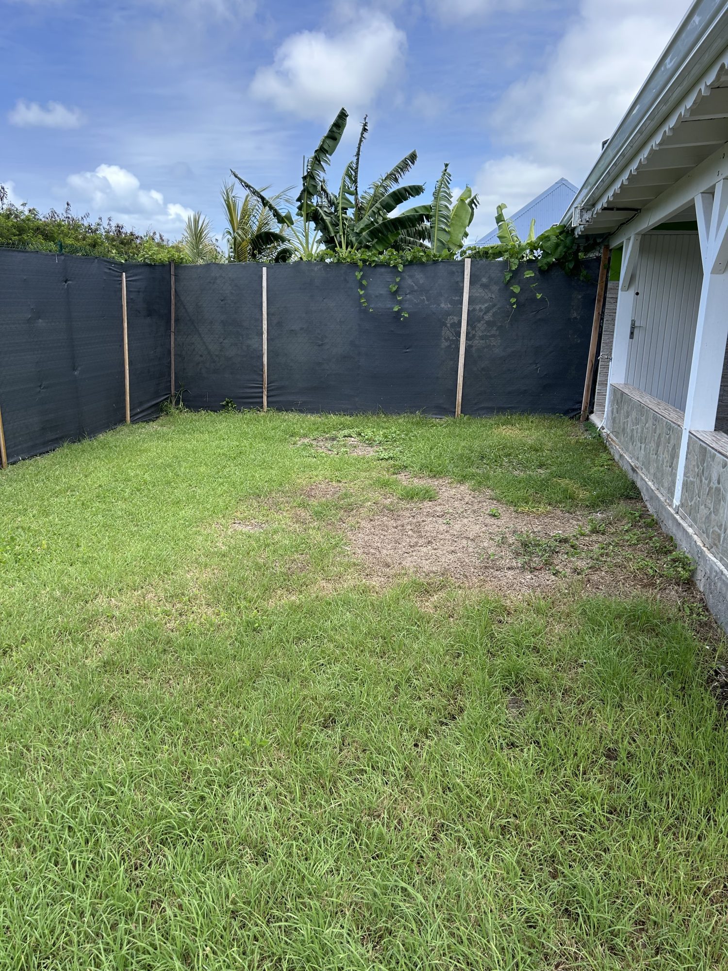 1747263405-lm276-10-original